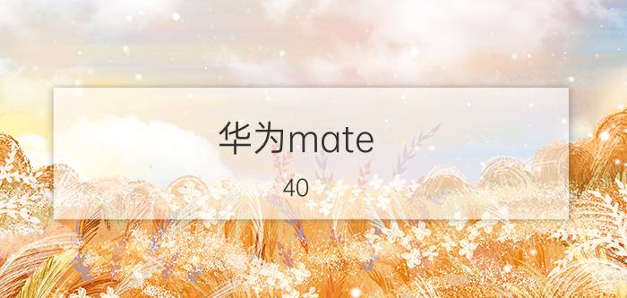 华为mate 40 pro好用吗 华为mate40pro有必要更新鸿蒙20？